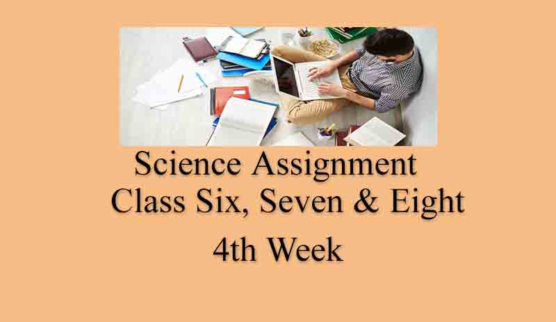 assignment paper science